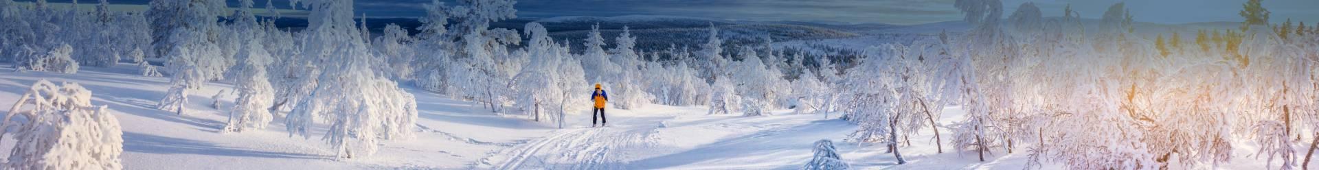 bandeau photo d'un paysage de neige en Laponie