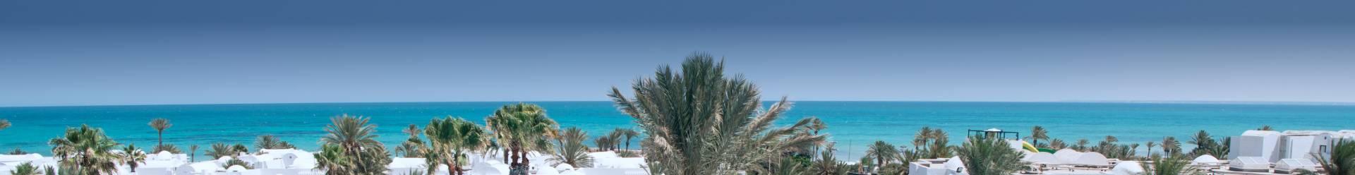 bandeau photo d'une plage avec palmiers