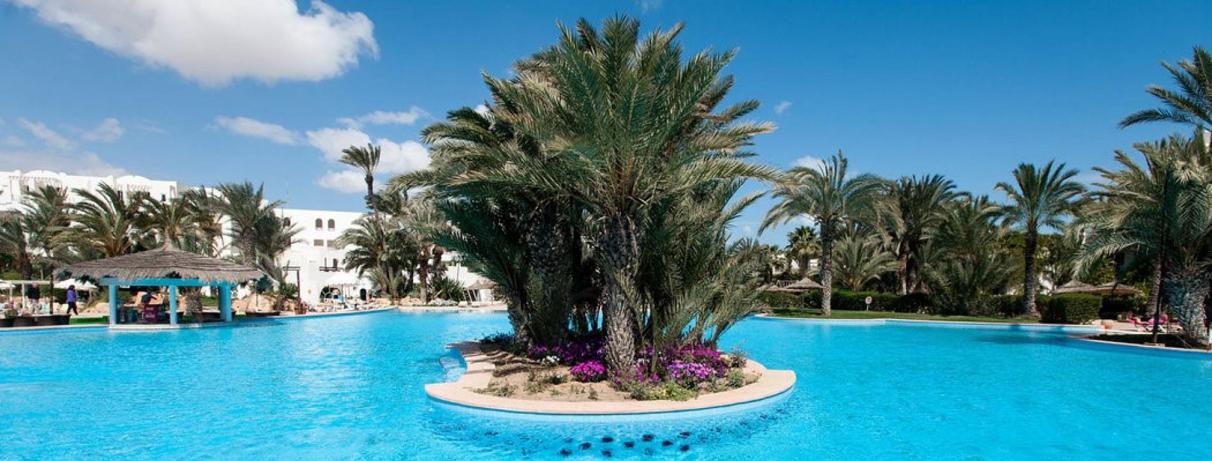 palmiers au milieu de la piscine