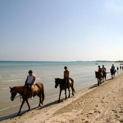 balade à chevaux sur la plage