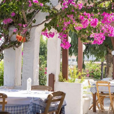 terrasse restaurant avec bougainvilliers roses
