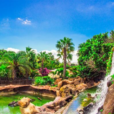 bassin avec jardins et palmiers