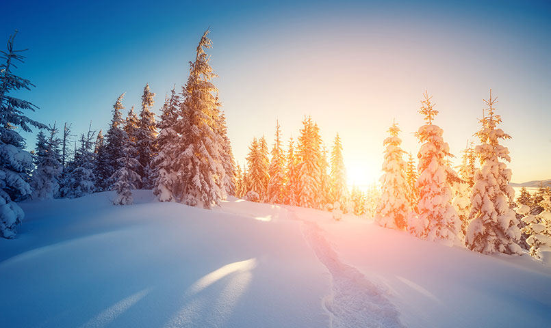 paysage enneigé