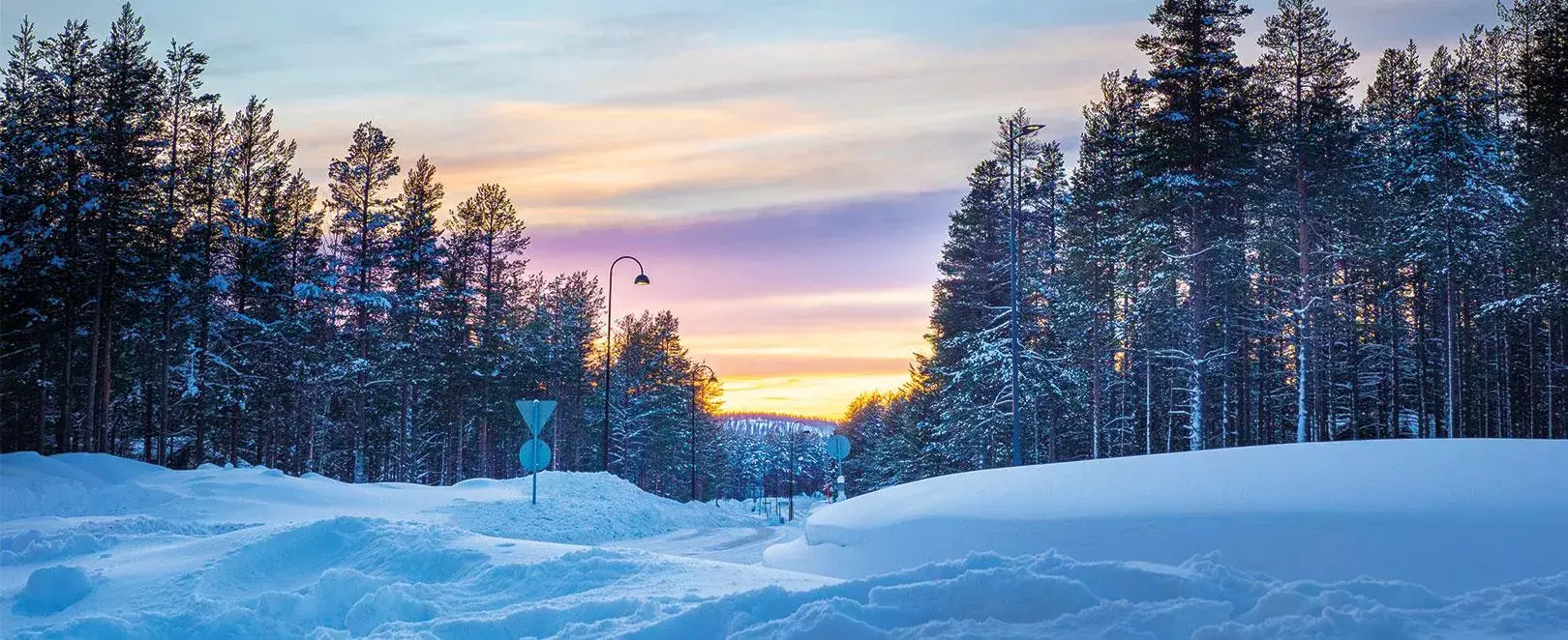 paysage sous la neige
