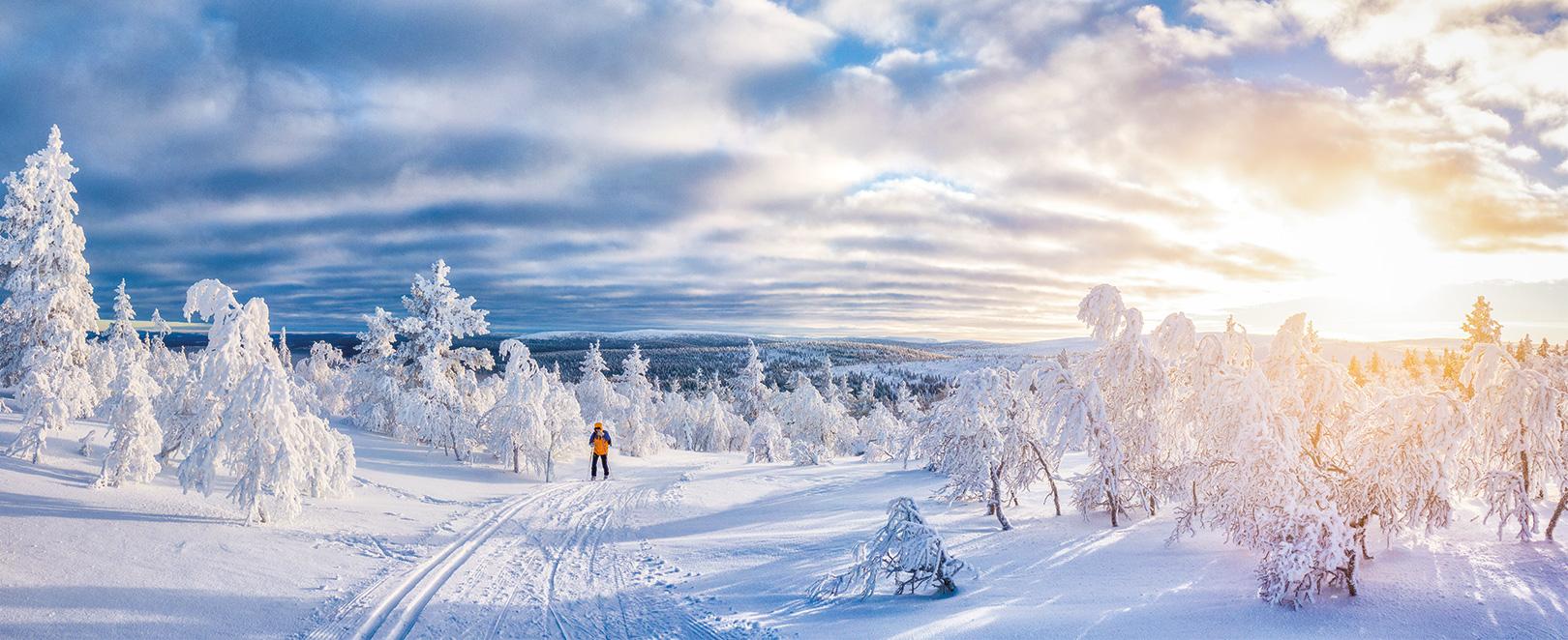 homme en raquettes dans la neige