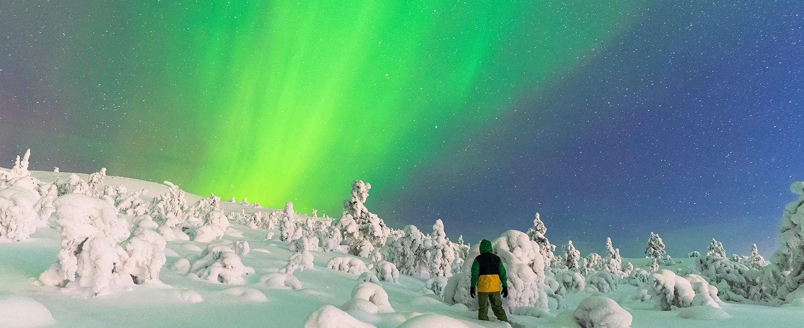 Personne observant les aurores boréales 