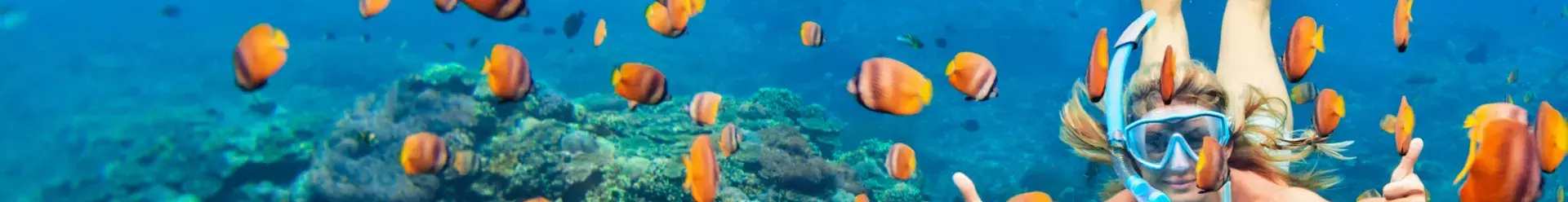 Vos vacances, on y croit !