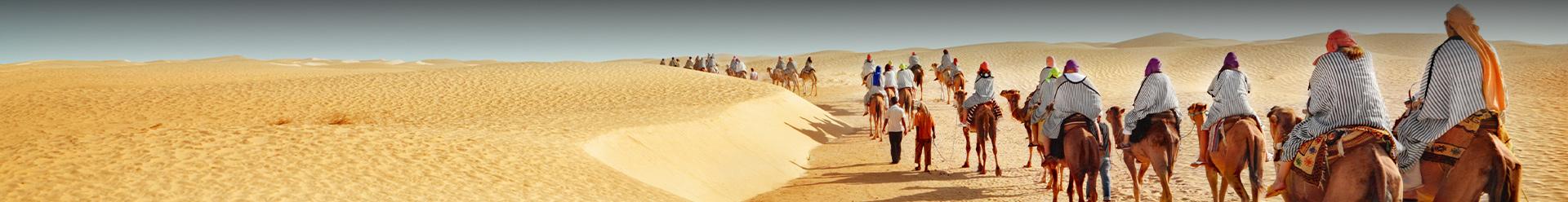 caravane de dromadaires dans le désert