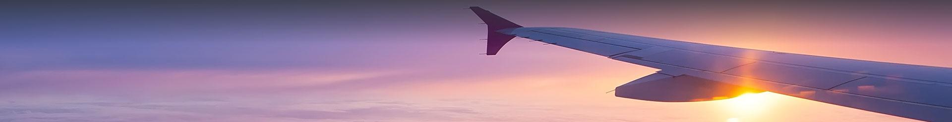 Aile d'avion