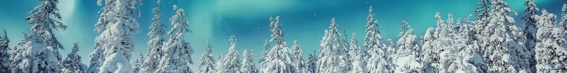 Un paysage de la Laponie 