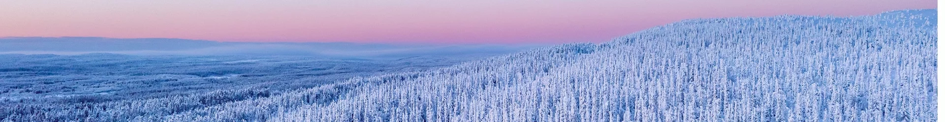 un paysage enneigé avec un ciel rose