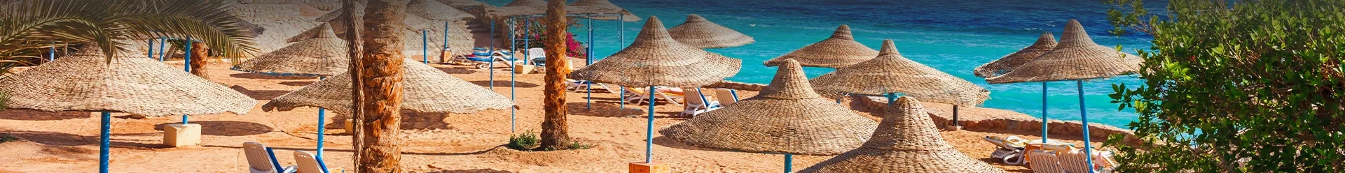 des parasols sur en plage en mer Rouge