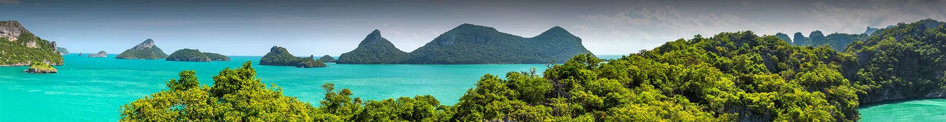 la mer thaïlandaise avec de la végétation