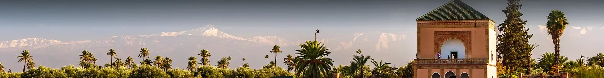 la Menara à Marrakech avec l'Atlas enneigé en fond