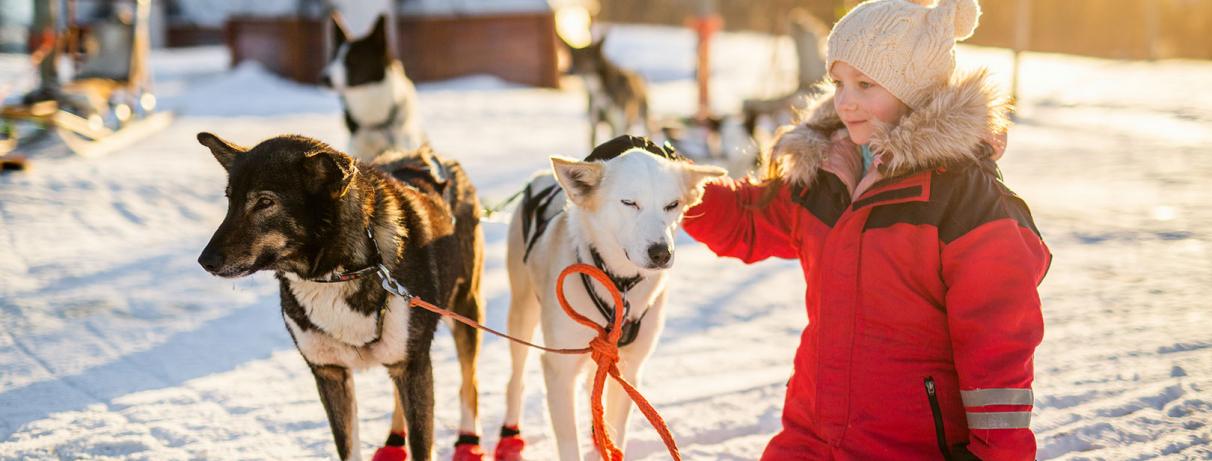 petite fille caressant un chien husky