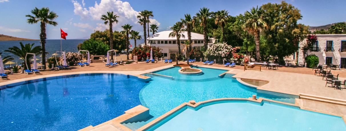 piscine avec palmiers