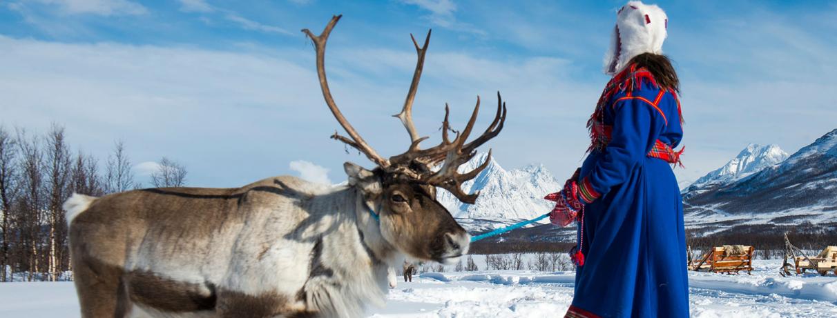 un renne avec une femme en habit traditionnel sami