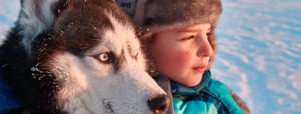 enfant et husky cote à côte