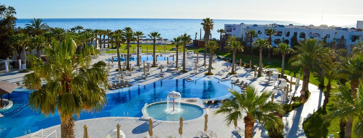 piscine avec palmiers