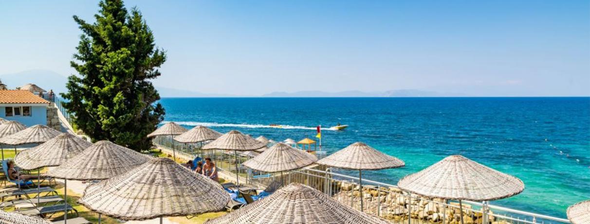 plage avec parasols