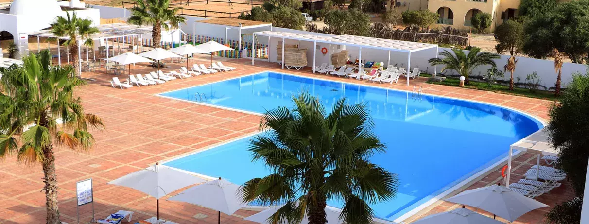 piscine avec palmiers