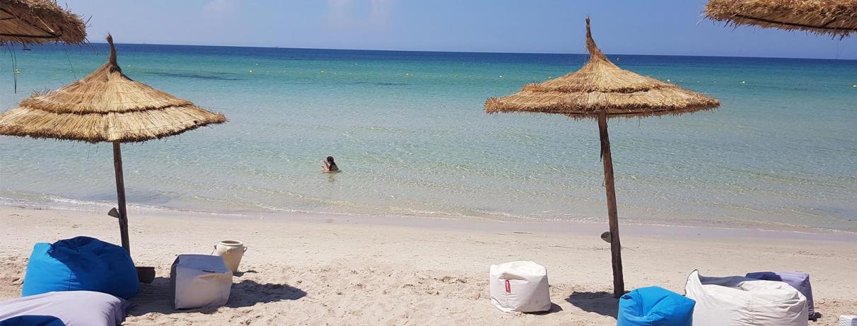 plage avec parasols