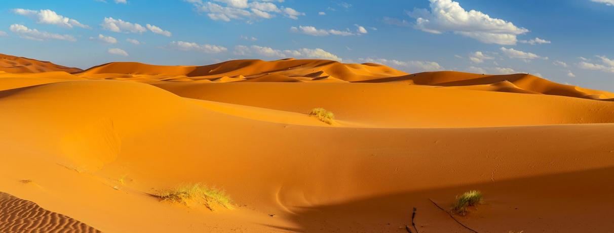 desert