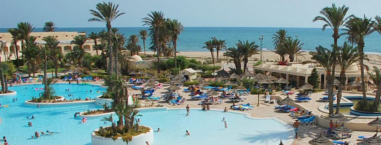 piscine avec palmiers