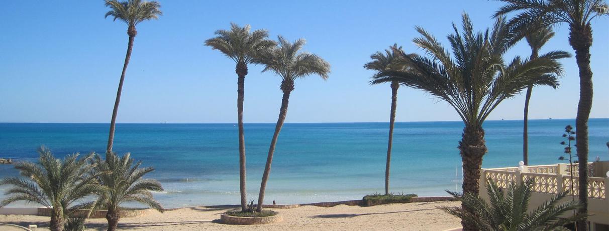 plage avec palmiers