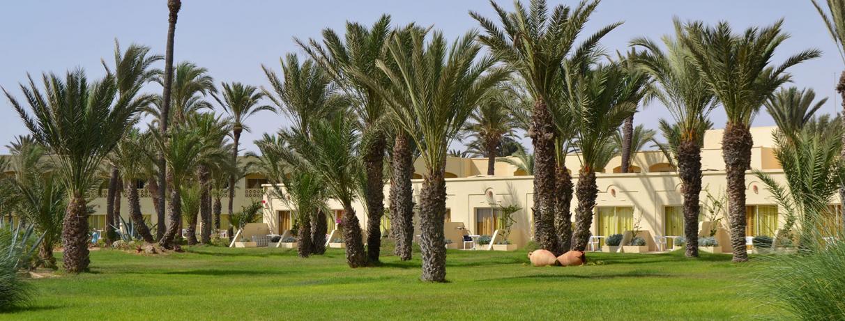 jardins de l'hôtel avec nombreux palmiers