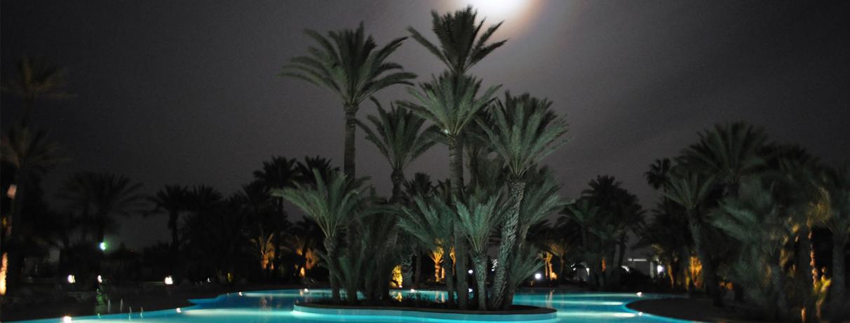 piscines avec palmiers de nuit, lune dans le ciel