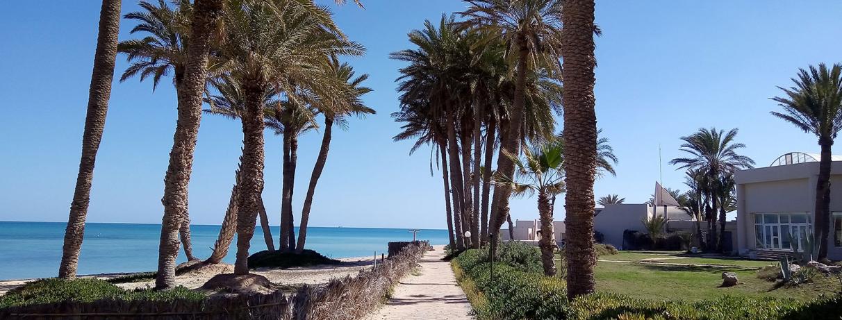 chemin menant à la plage