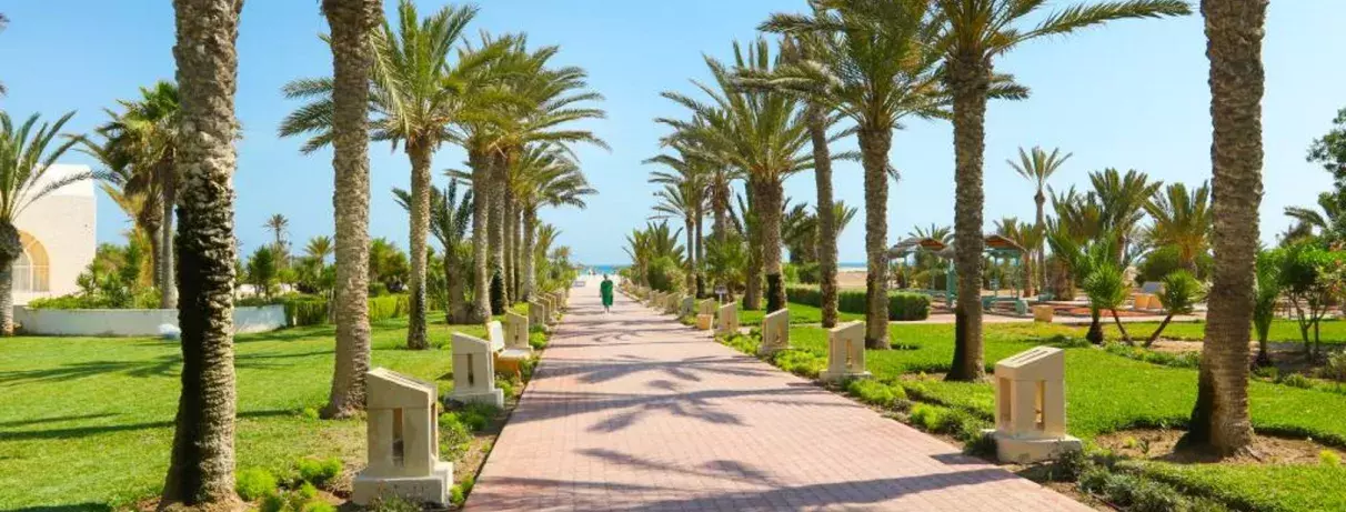 Chemin vers la plage, palmiers