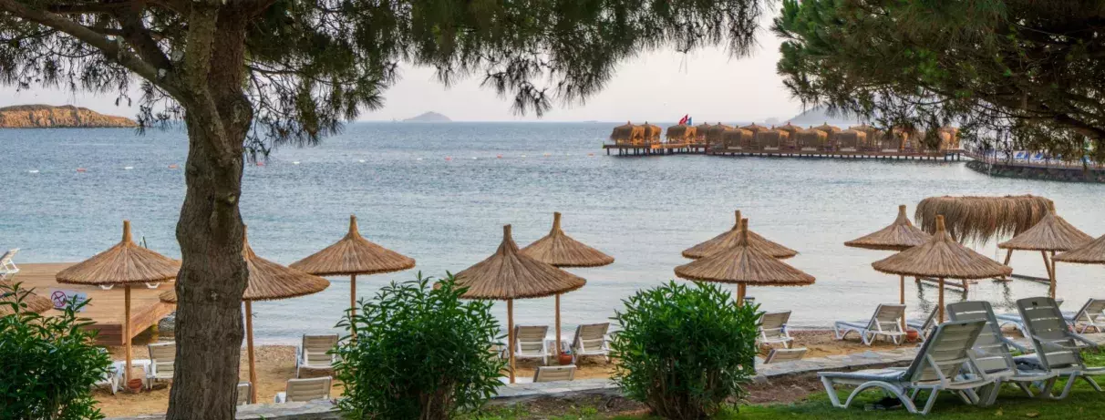 transats et parasols sur la plage 