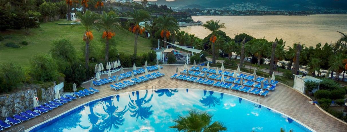 vue sur la piscine 