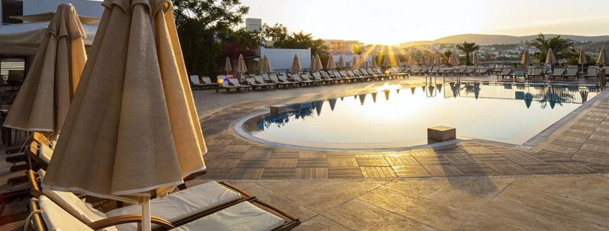 piscine avec transats et parasols 