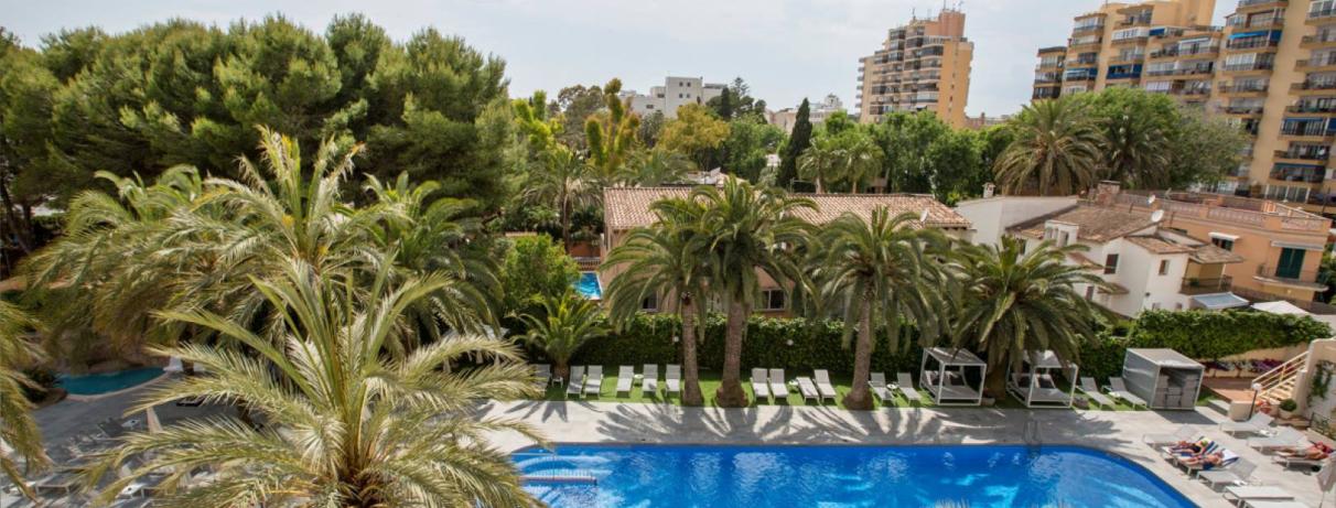 piscine et jardin