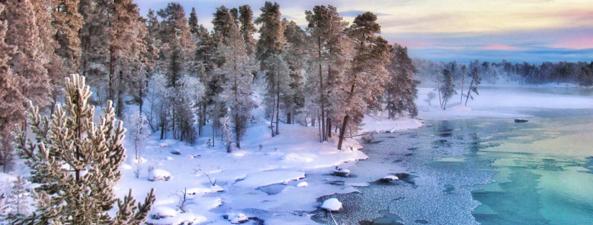 lac et forêt