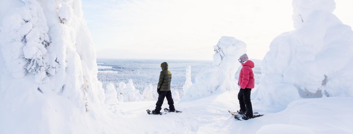 2 personnes faisant du ski de fond