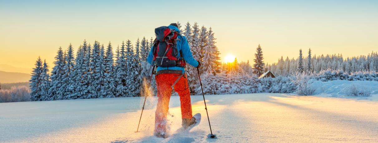 1 personne faisant ski de fond