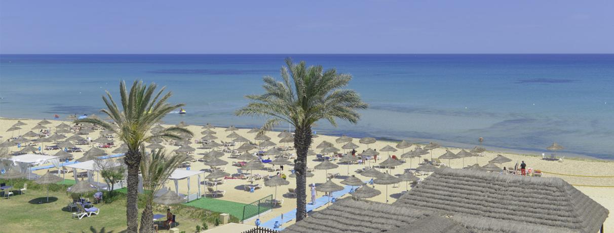 plage avec parasols