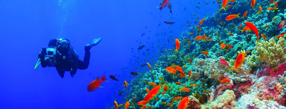 plongée sous marine