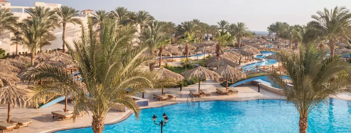 piscine avec palmier