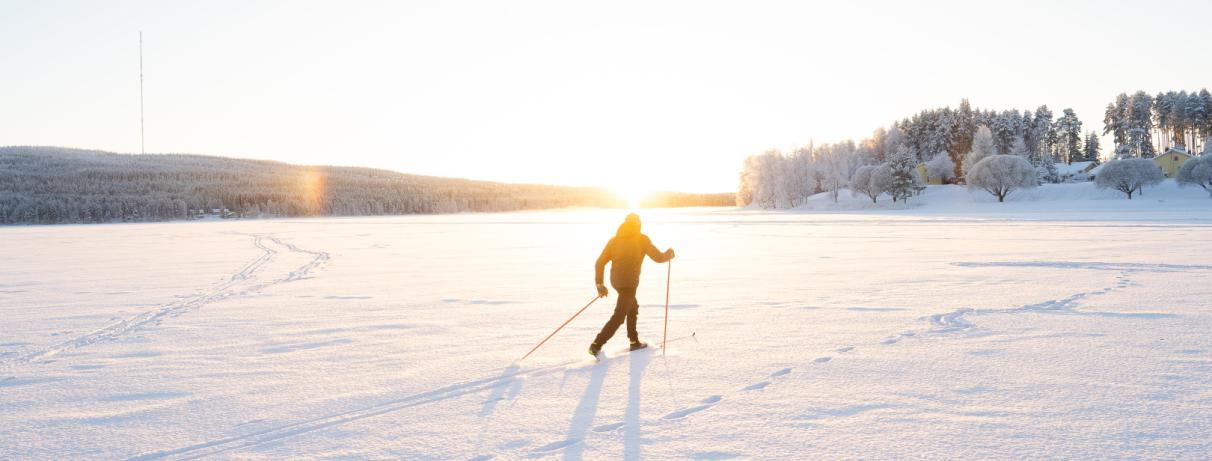 ski