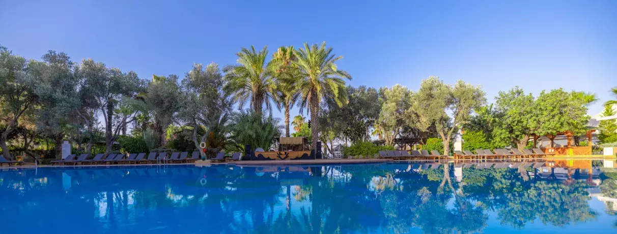 vue d'ensemble piscine 