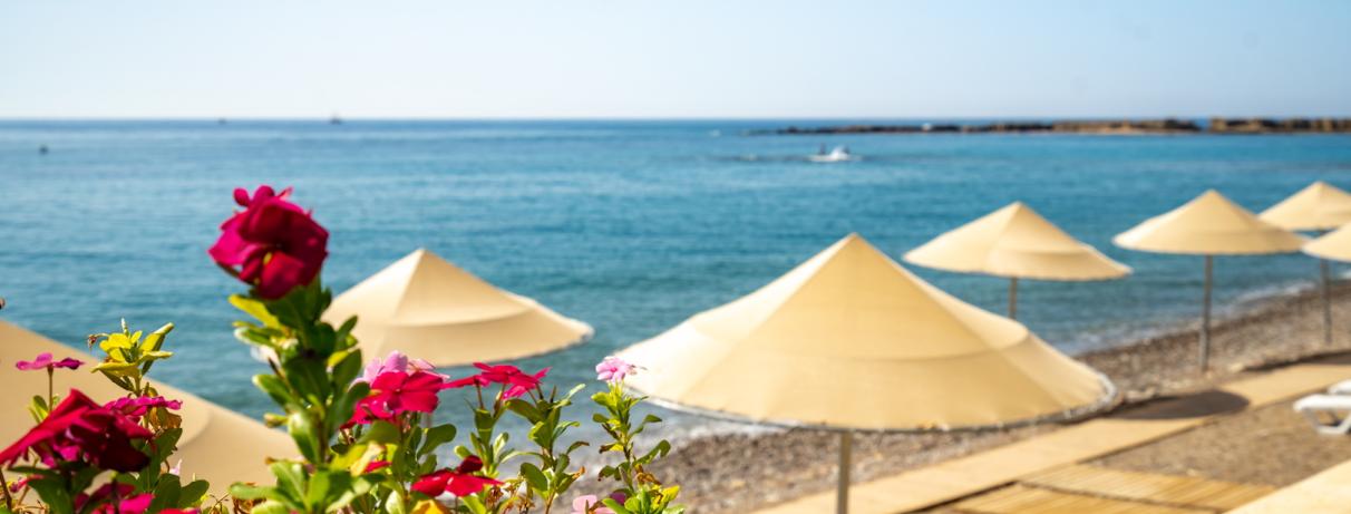 plage avec parasols 