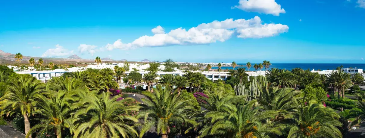 vue en hauteur des palmiers et de l'hôtel