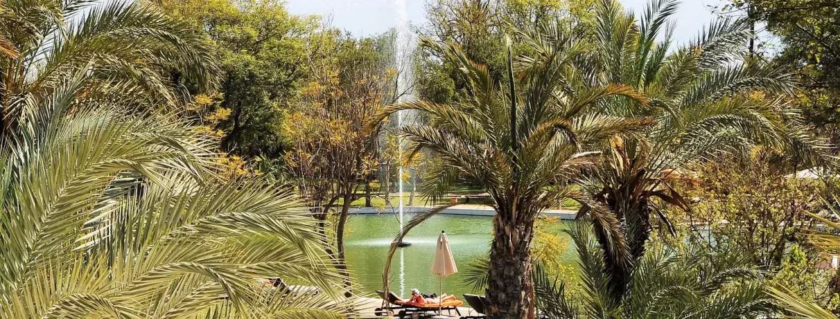 vue jardin avec des arbres et fontaine au milieu