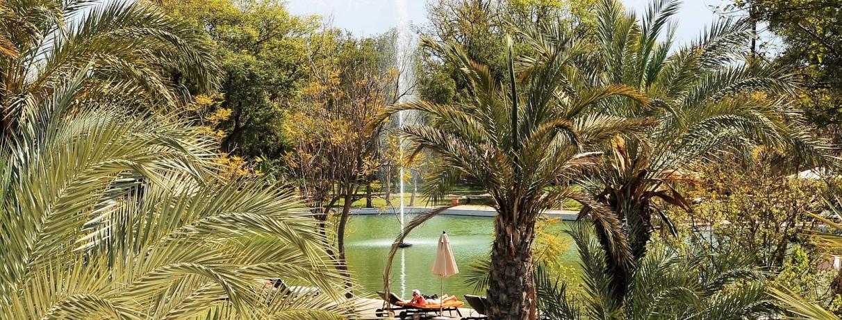 vue jardin