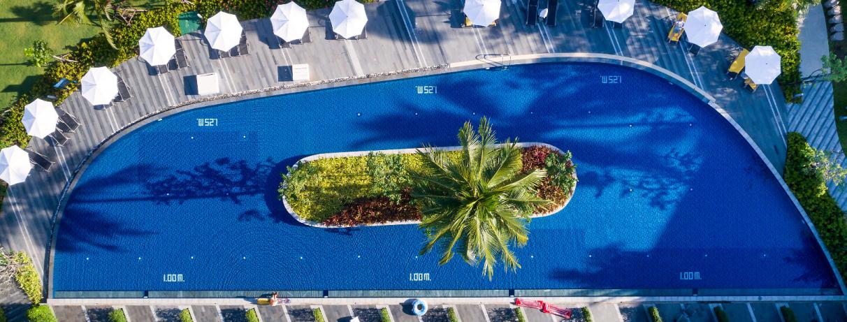 vue piscine de haut